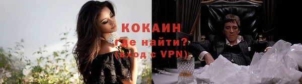 крисы Магадан